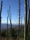 Great Smoky Mountains, Great Smoky Mountains National Park, TN