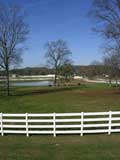 Horse Ranch, Southern Tenessee