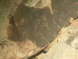 Indian Petroglyph, Petrified National Forest, AZ