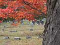 Cemetery, North Parsonsfield, ME